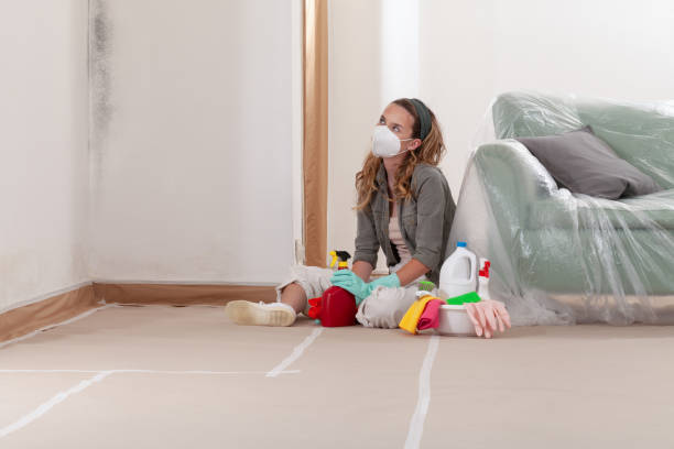 Reliable Mold Remediation contractor in Voorhees, NJ by Cheap Mold Removal